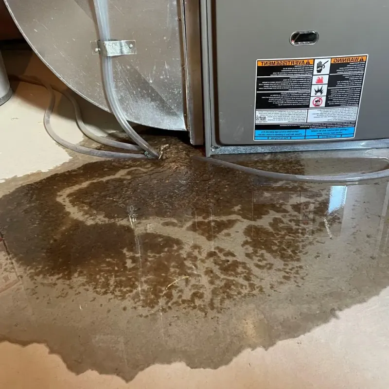 Pipe Burst and Leak Restoration in Arlington Heights, IL